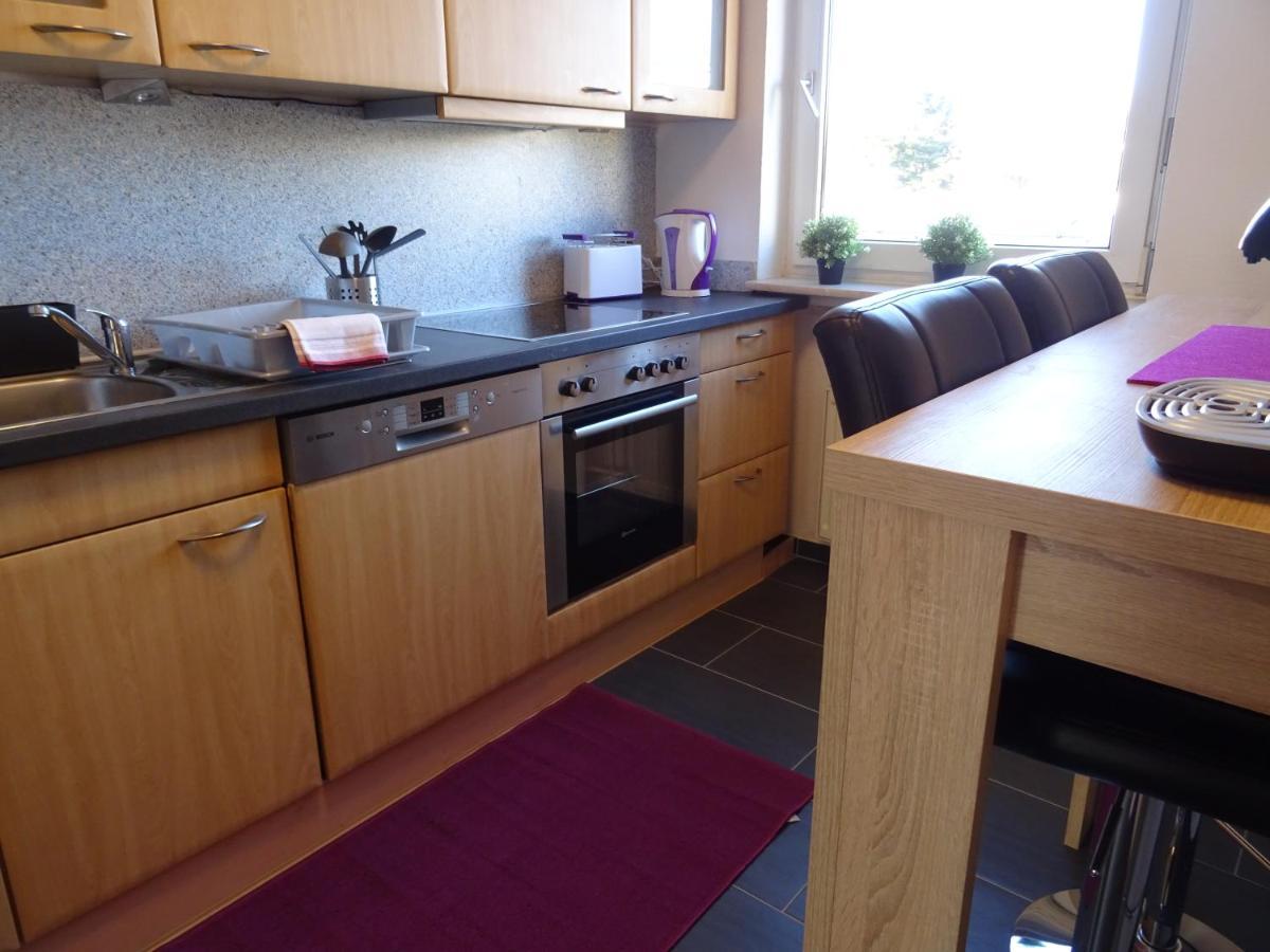 Ferienwohnung Dreilaendereck 莱茵费尔登 外观 照片